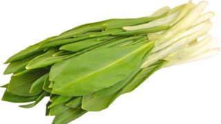 白色背景上的一簇野韭菜