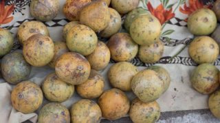 松松散在布木苹果