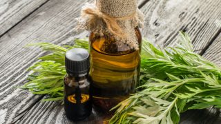 木桌上放着几瓶苦艾油和新鲜的苦艾树叶