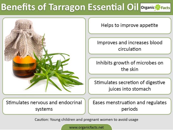 龙蒿精油的好处的信息图表