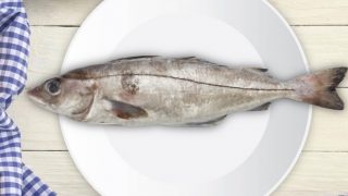 盘子上的黑线鳕