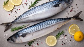 2个新鲜的鲭鱼用盐，柠檬和香料在灰色背景