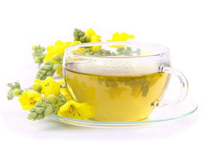 一杯毛蕊花茶，放在毛蕊花旁边，以白色为背景