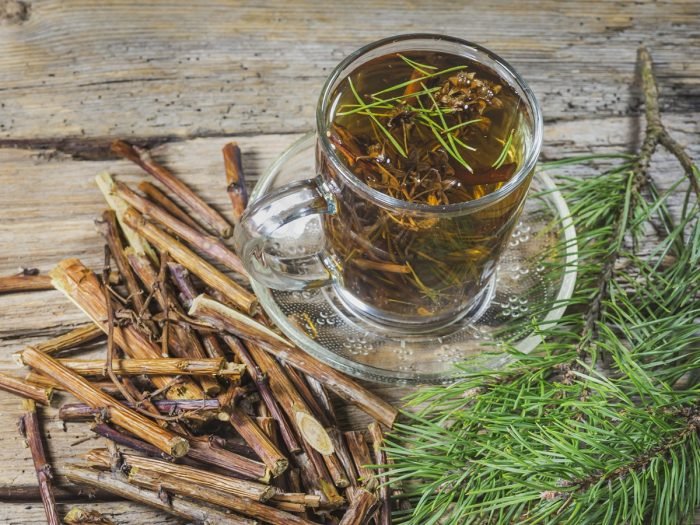 一杯杉木针茶和杉木针在桌上