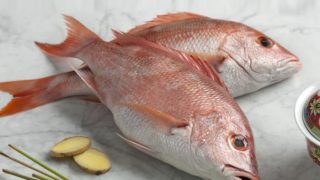 两只红色的鲷鱼停在大理石平台上