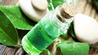 Tea Tree Oil For Yeast Infection: Uses