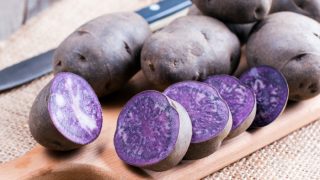 在木板上切成薄片的两片玻璃片