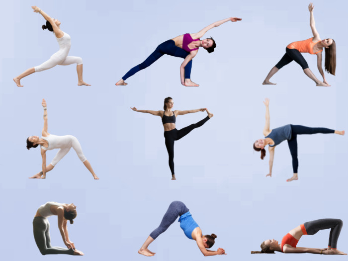 显示不同的种类瑜伽姿势的年轻和适合的妇女